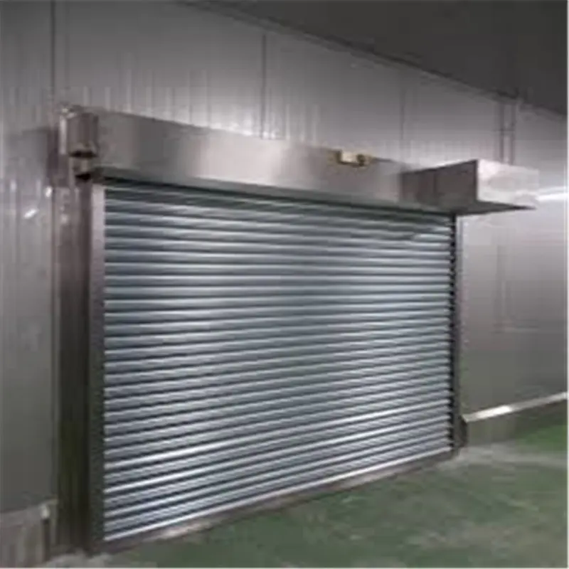 Custom Stainless Steel Shutter Door