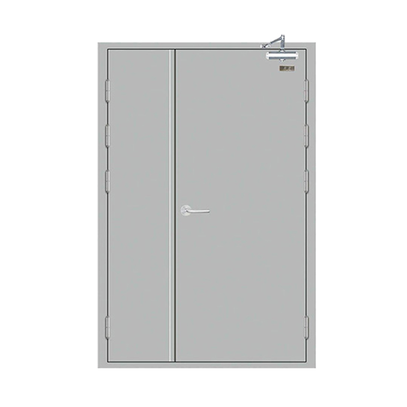 Specializing in manufacturing dd container metal fire doors EN double and double fire doors